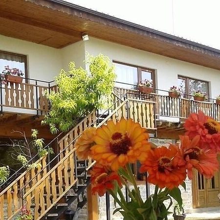 Guest House Friends Emen Extérieur photo